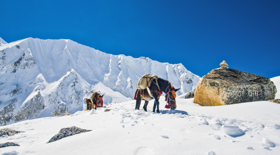 How to Stay Warm on the Manaslu Circuit Trek in Winter